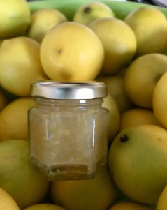 Homemade Lemon Jam - so easy with the Thermomix!